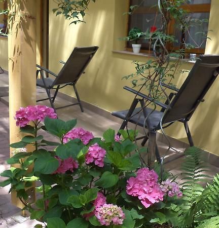 Oazis Apartman Eğri Dış mekan fotoğraf